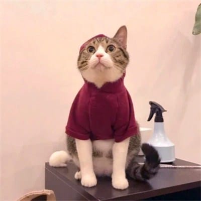 Andi Wijaya avatar